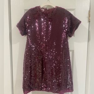 NWT Zara sequin dress
